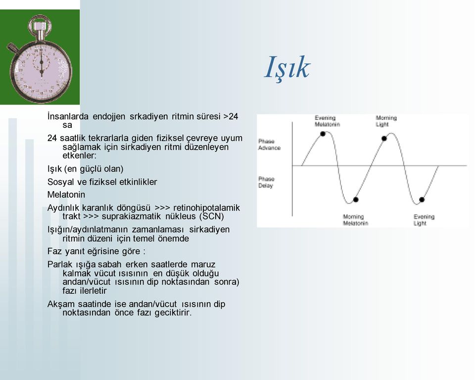 (SCN) Işığın/aydınlatmanın zamanlaması sirkadiyen ritmin düzeni için temel önemde Faz yanıt eğrisine göre : Parlak ışığa sabah erken saatlerde maruz kalmak