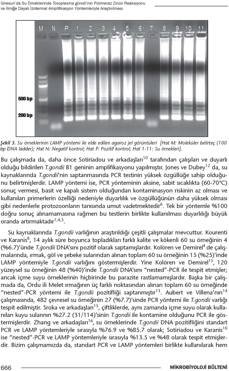 Bu çalışmada da, daha önce Sotiriadou ve arkadaşları 10 tarafından çalışılan ve duyarlı 12 olduğu bildirilen T.gondii i B1 geninin amplifikasyonu yapılmıştır. Jones ve Dubey da, su kaynaklarında T.
