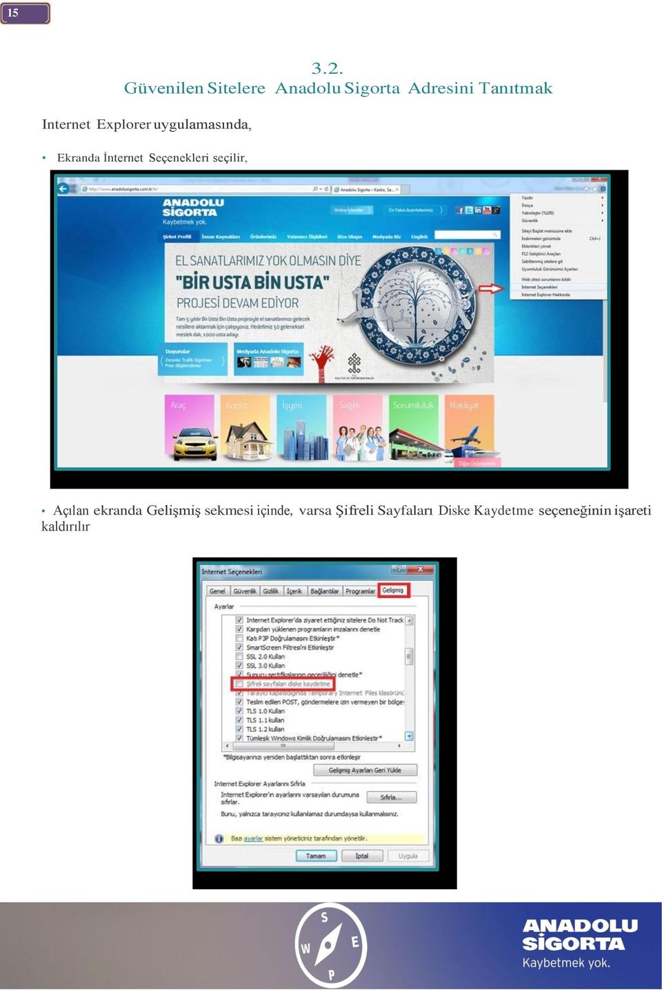 Internet Explorer uygulamasında, Ekranda İnternet