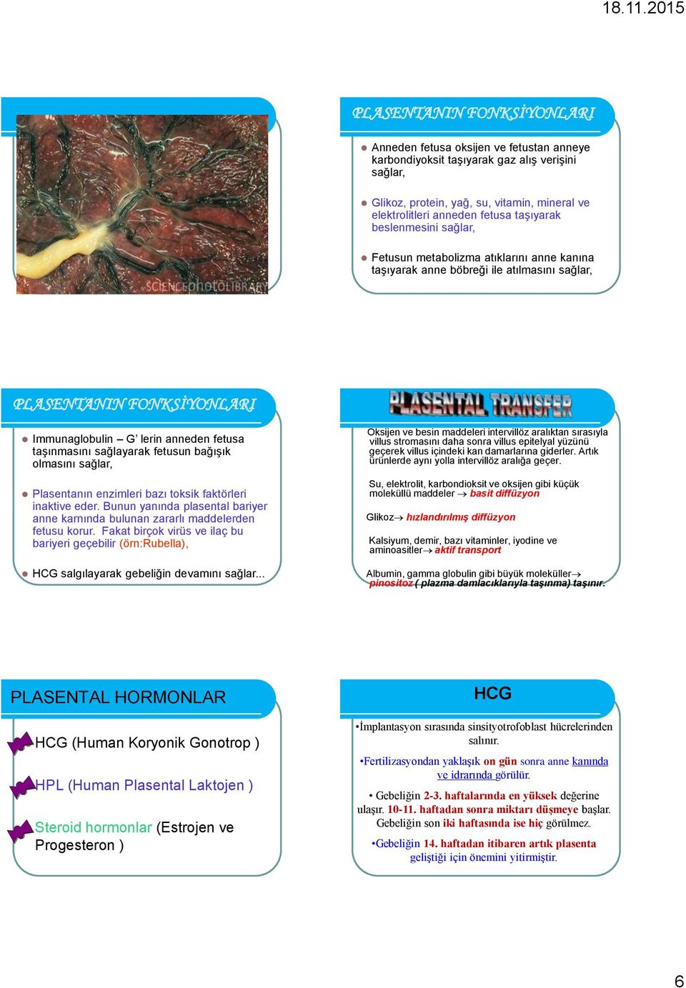 sağlayarak fetusun bağışık olmasını sağlar, Plasentanın enzimleri bazı toksik faktörleri inaktive eder. Bunun yanında plasental bariyer anne karnında bulunan zararlı maddelerden fetusu korur.