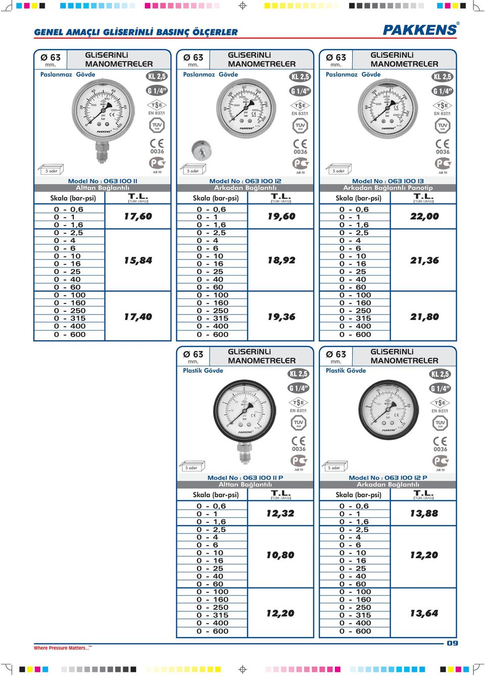 18,92 19,36 Model No : 063 100 13 Panotip Skala (bar-psi) 0 0 0 22,00 21,36 21,80 Plastik Gövde GLiSERiNLi MANMETRELER Plastik Gövde