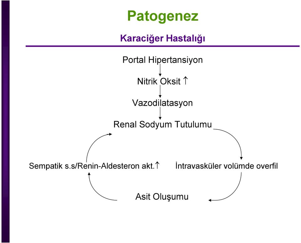 Renal Sodyum Tutulumu Sempatik s.