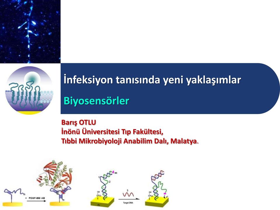 OTLU İnönü Üniversitesi Tıp