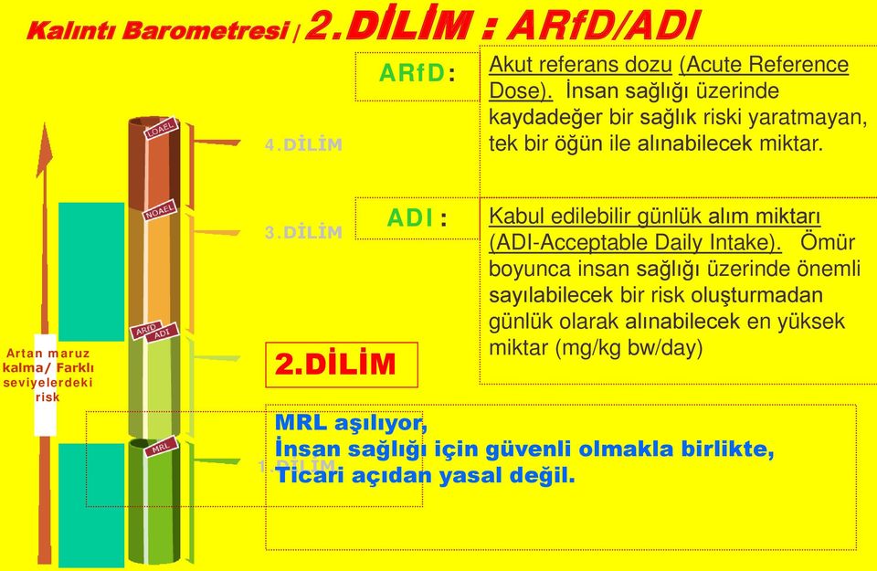 Artan maruz kalma/ Farklı seviyelerdeki risk 3.DİLİM 2.DİLİM 1.DİLİM ADI: Kabul edilebilir günlük alım miktarı (ADI-Acceptable Daily Intake).