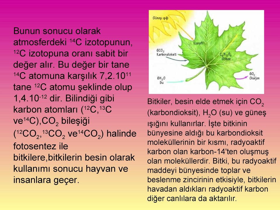 Bitkiler, besin elde etmek için CO2 (karbondioksit), H2O (su) ve güneş ışığını kullanırlar.