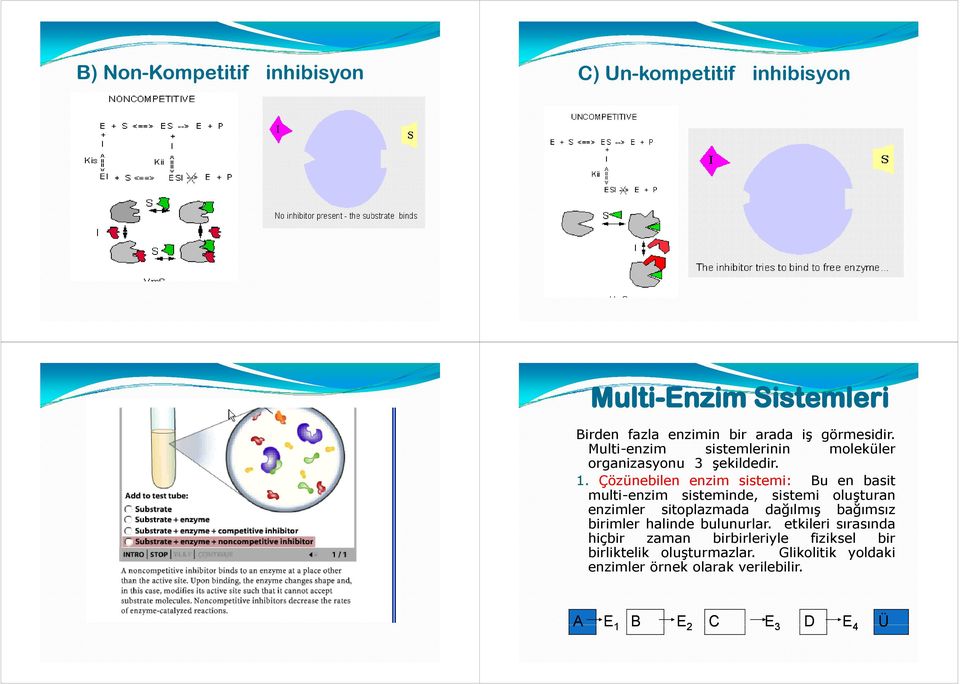 Çözünebilen bl enzim sistemi: Bu en basit multi-enzim sisteminde, sistemi oluşturan enzimler sitoplazmada dağılmış bağımsız