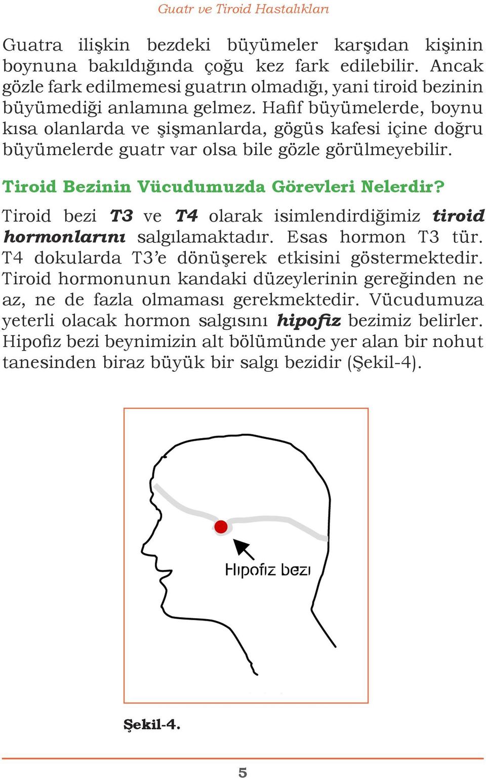 Hafif büyümelerde, boynu kısa olanlarda ve şişmanlarda, gögüs kafesi içine doğru büyümelerde guatr var olsa bile gözle görülmeyebilir. Tiroid Bezinin Vücudumuzda Görevleri Nelerdir?