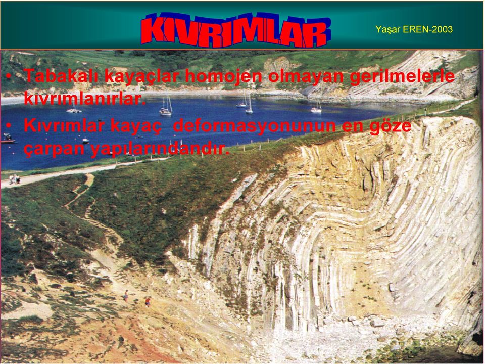 kıvrımlanırlar.