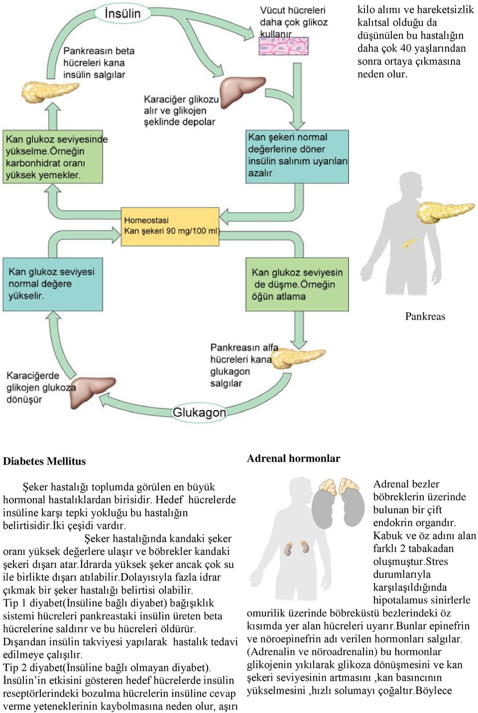 Şeker hastalığında kandaki şeker oranı yüksek değerlere ulaşır ve böbrekler kandaki şekeri dışarı atar.idrarda yüksek şeker ancak çok su ile birlikte dışarı atılabilir.