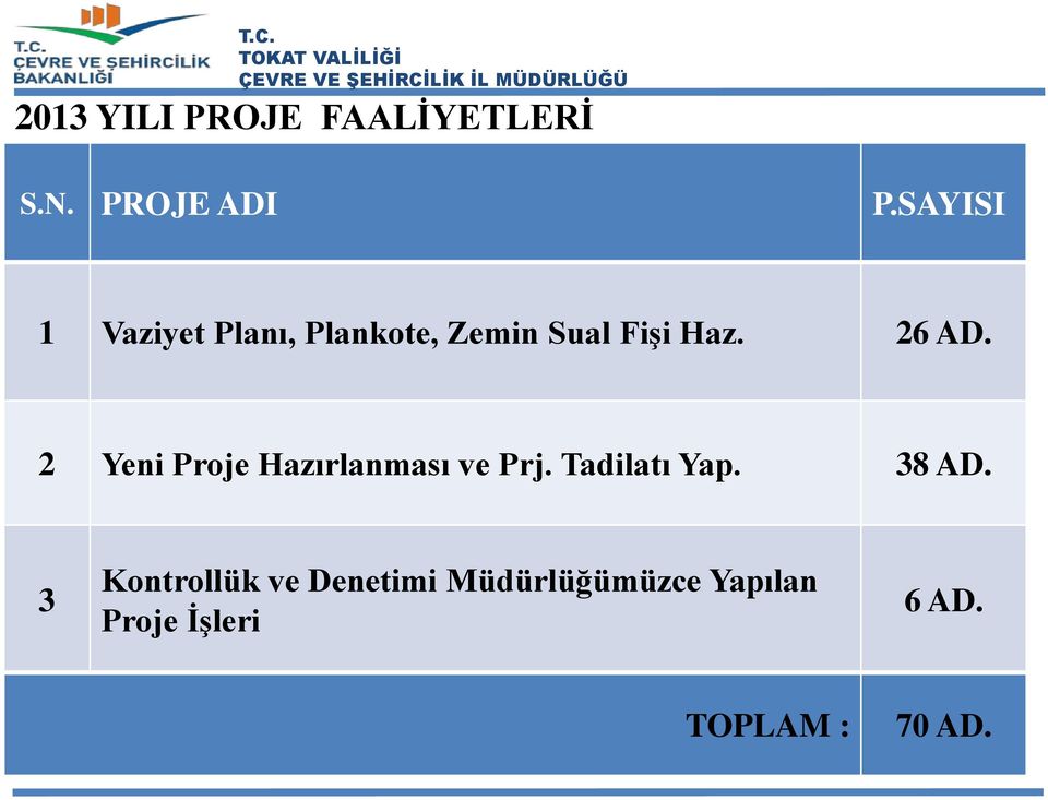 2 Yeni Proje Hazırlanması ve Prj. Tadilatı Yap. 38 AD.