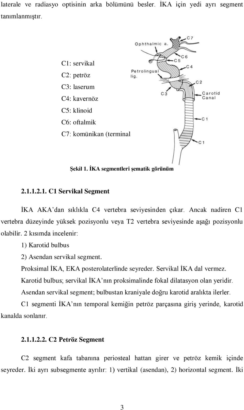 Ancak nadiren C1 vertebra düzeyinde yüksek pozisyonlu veya T2 vertebra seviyesinde aşağı pozisyonlu olabilir. 2 kısımda incelenir: 1) Karotid bulbus 2) Asendan servikal segment.