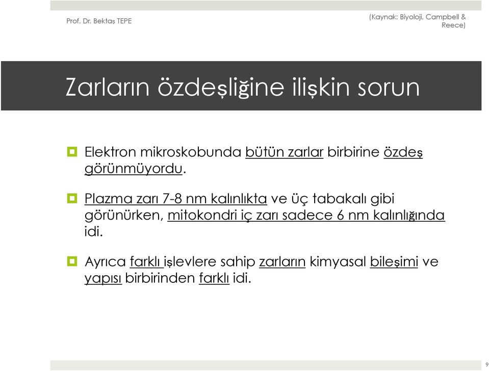 Plazma zarı 7-8 nm kalınlıkta ve üç tabakalı gibi görünürken, mitokondri iç