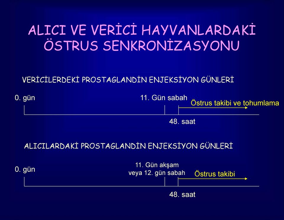 Gün sabah Östrus takibi ve tohumlama 48.