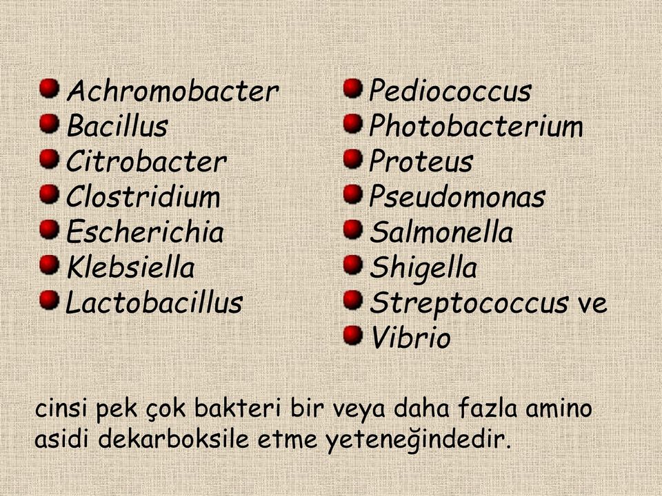 Pseudomonas Salmonella Shigella Streptococcus ve Vibrio cinsi pek