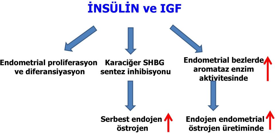 Endometrial bezlerde aromataz enzim aktivitesinde