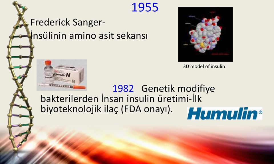 3D model of insulin 1982 Genetik modifiye