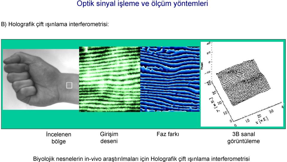 görüntüleme Biyolojik nesnelerin in-vivo