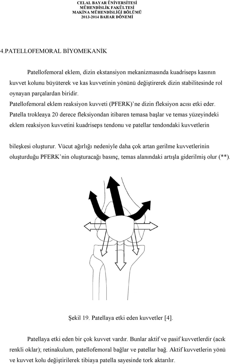 Patella trokleaya 20 derece fleksiyondan itibaren temasa başlar ve temas yüzeyindeki eklem reaksiyon kuvvetini kuadriseps tendonu ve patellar tendondaki kuvvetlerin bileşkesi oluşturur.