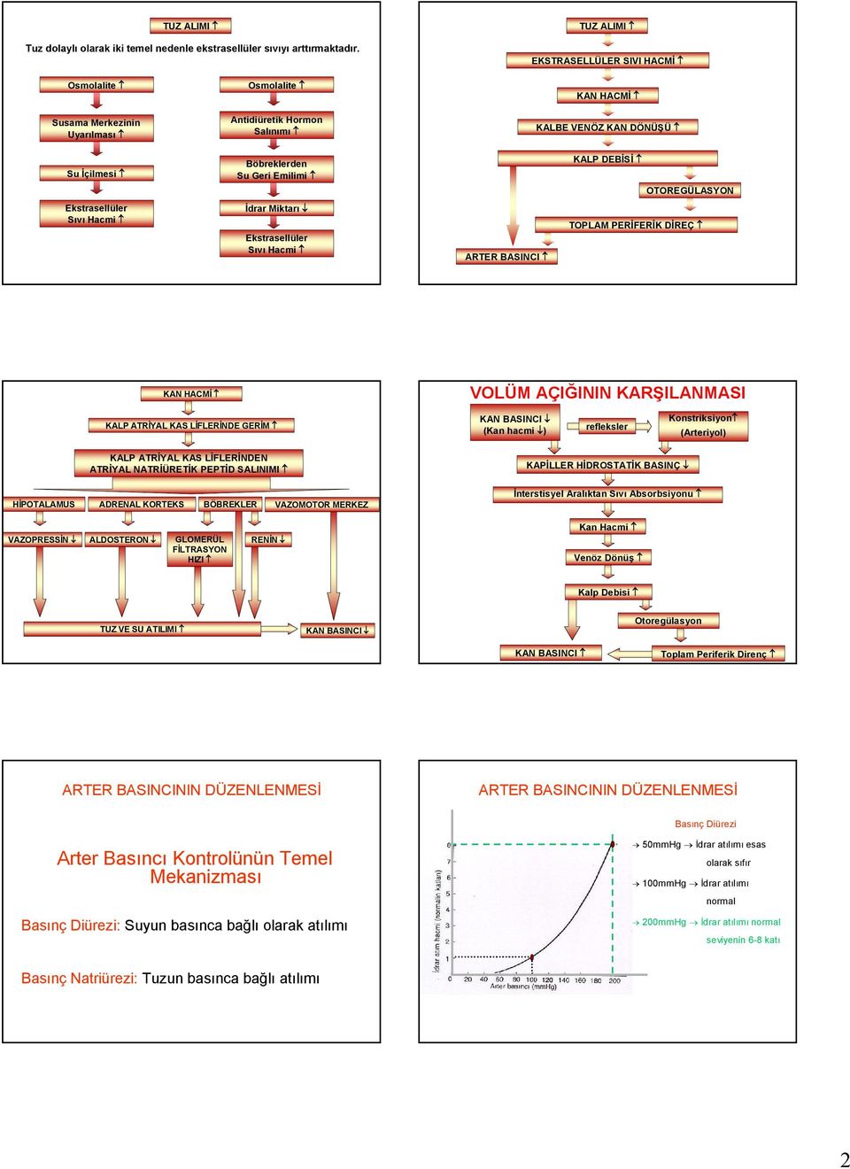 DEBİSİ OTOREGÜLASYON Ekstrasellüler Sıvı İdrar Miktarı Ekstrasellüler Sıvı ARTER BASINCI TOPLAM PERİFERİK DİREÇ KAN HACMİ VOLÜM AÇIĞININ KARŞILANMASI KALP ATRİYAL KAS LİFLERİNDE GERİM (Kan hacmi )