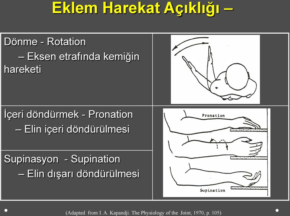 döndürülmesi Supinasyon - Supination Elin dışarı döndürülmesi