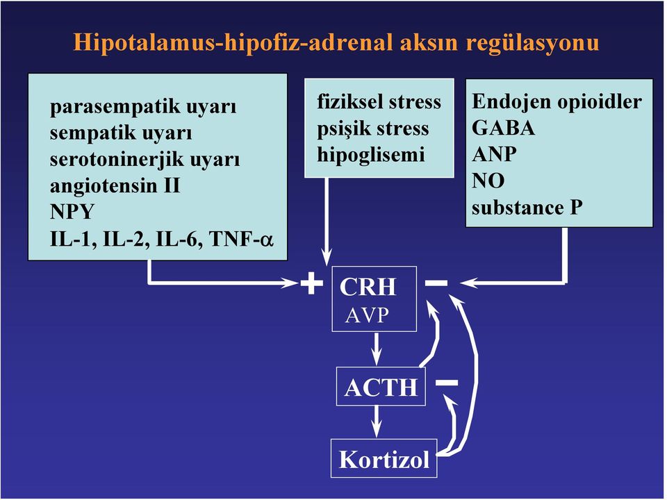 IL-1, IL-2, IL-6, TNF-α fiziksel stress psişik stress