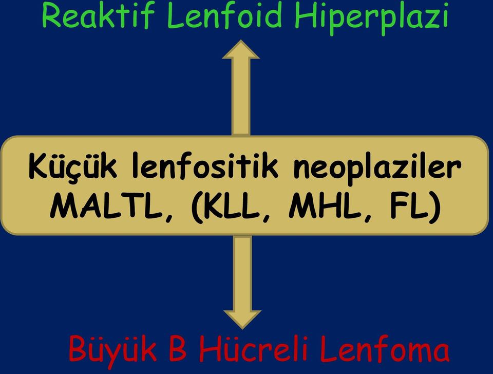lenfositik neoplaziler