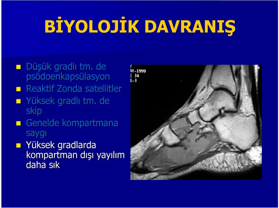 satellitler Yüksek gradlı tm.