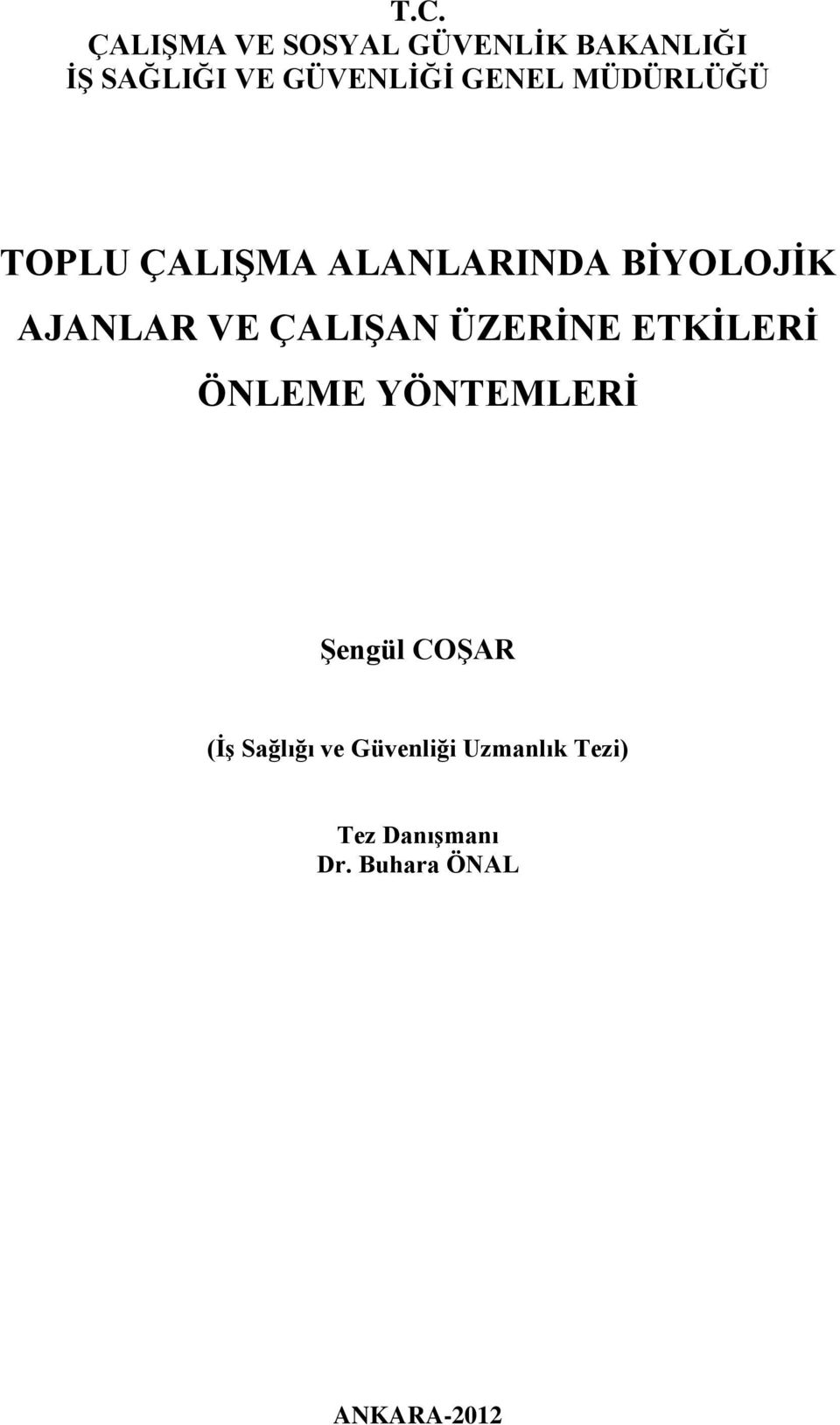 ÇALIŞAN ÜZERİNE ETKİLERİ ÖNLEME YÖNTEMLERİ Şengül COŞAR (İş