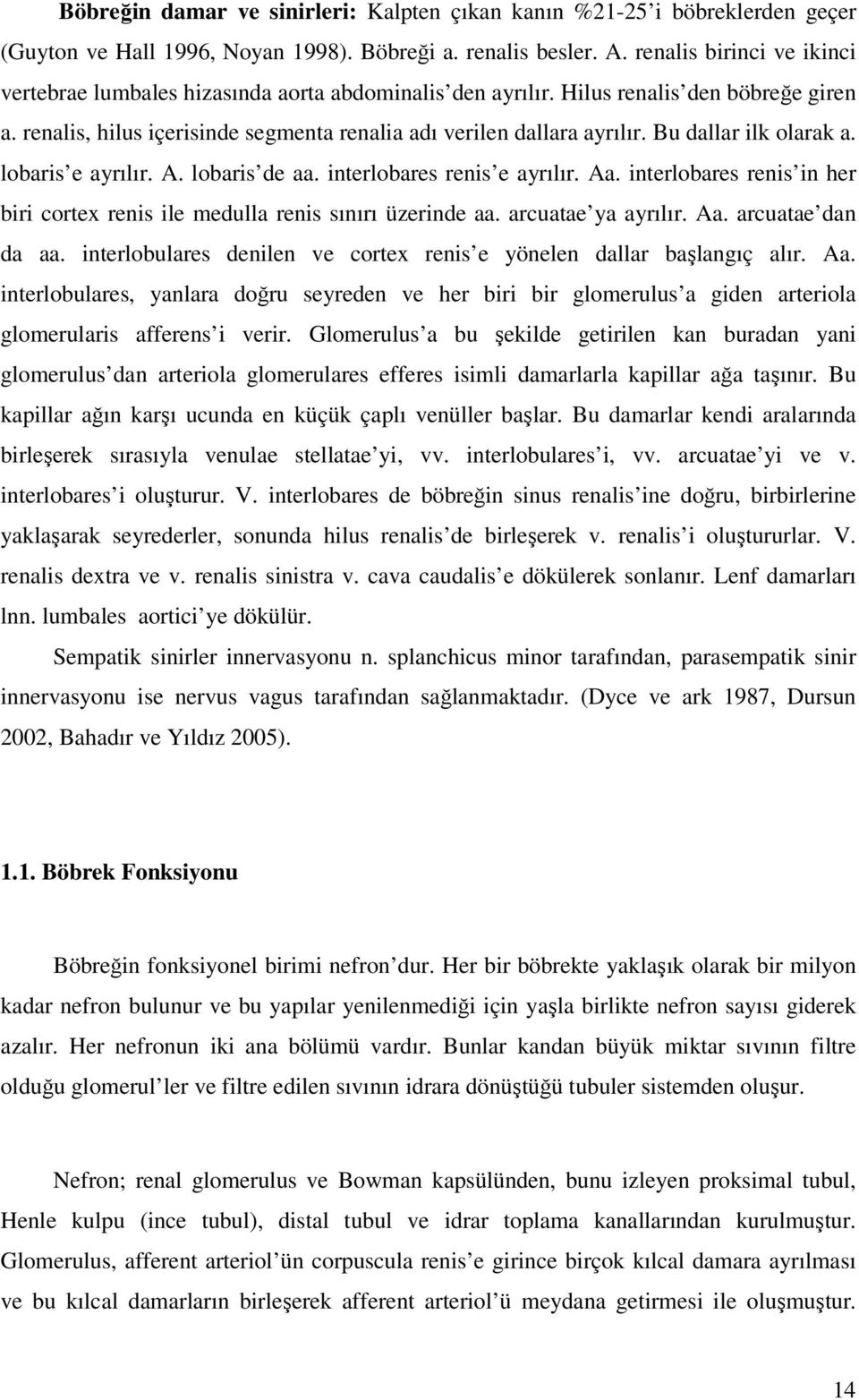 Bu dallar ilk olarak a. lobaris e ayrılır. A. lobaris de aa. interlobares renis e ayrılır. Aa. interlobares renis in her biri cortex renis ile medulla renis sınırı üzerinde aa. arcuatae ya ayrılır.