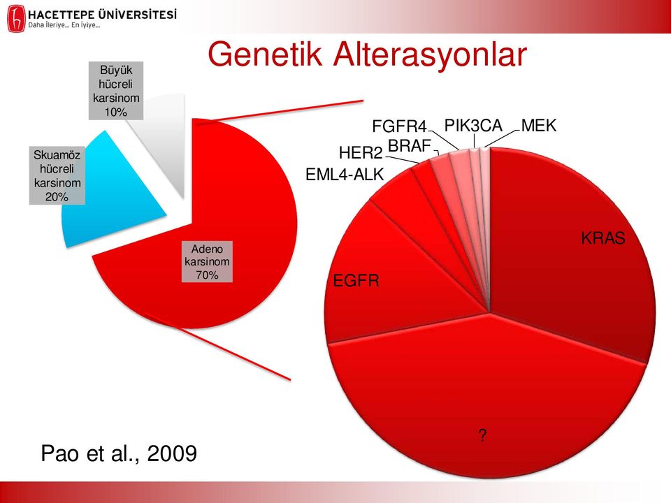 Alterasyonlar FGFR4 PIK3CA HER2 BRAF