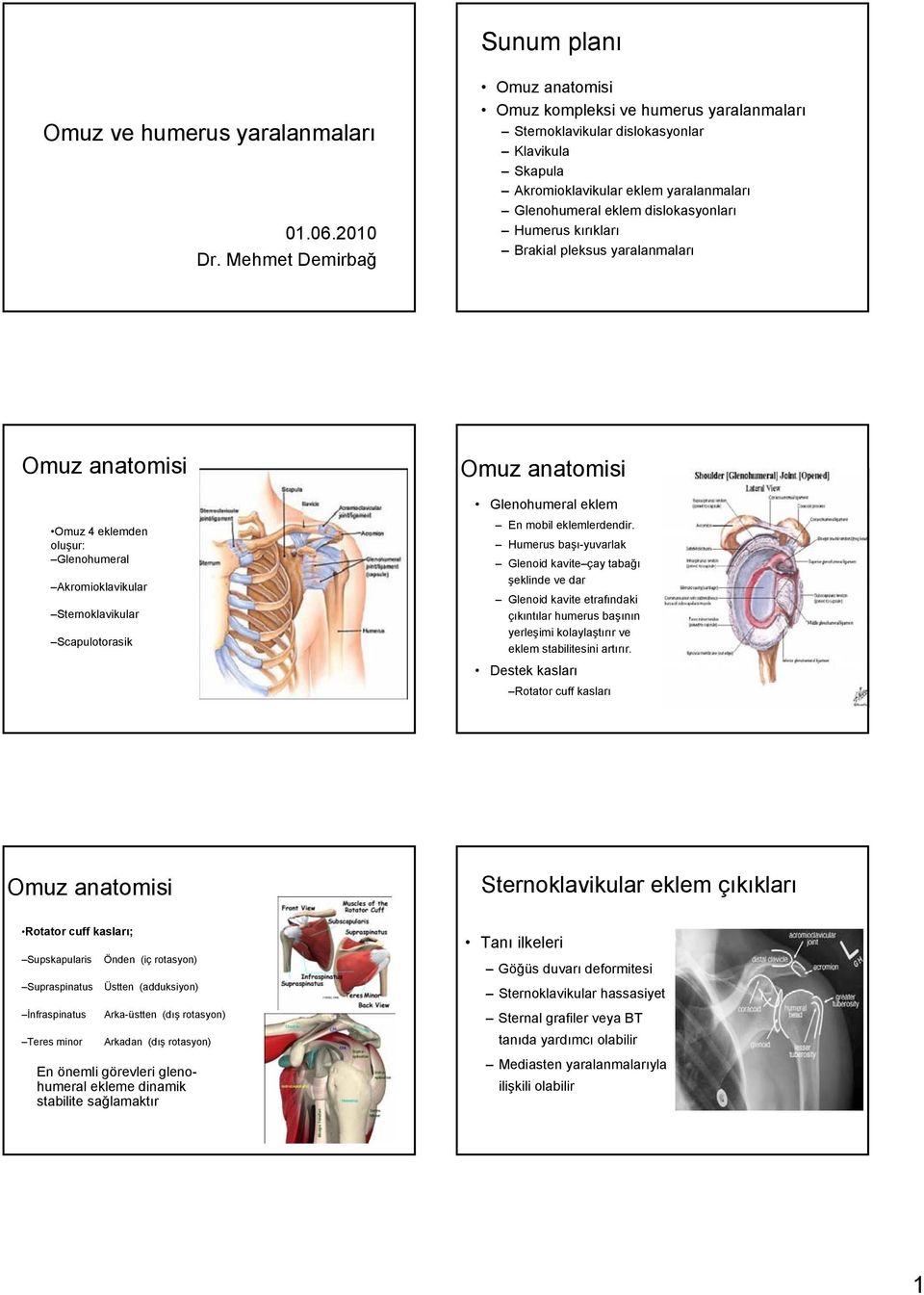 Brakial pleksus yaralanmaları Omuz anatomisi Omuz 4 eklemden oluşur: Glenohumeral Akromioklavikular Sternoklavikular Scapulotorasik Omuz anatomisi Glenohumeral eklem En mobil eklemlerdendir.