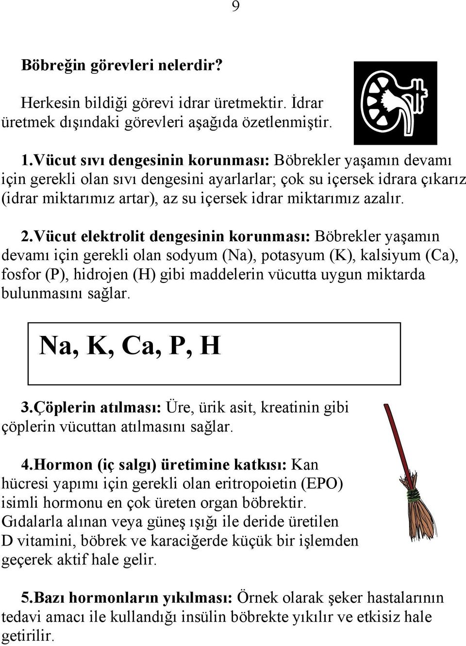 Vücut elektrolit dengesinin korunması: Böbrekler yaşamın devamı için gerekli olan sodyum (Na), potasyum (K), kalsiyum (Ca), fosfor (P), hidrojen (H) gibi maddelerin vücutta uygun miktarda bulunmasını