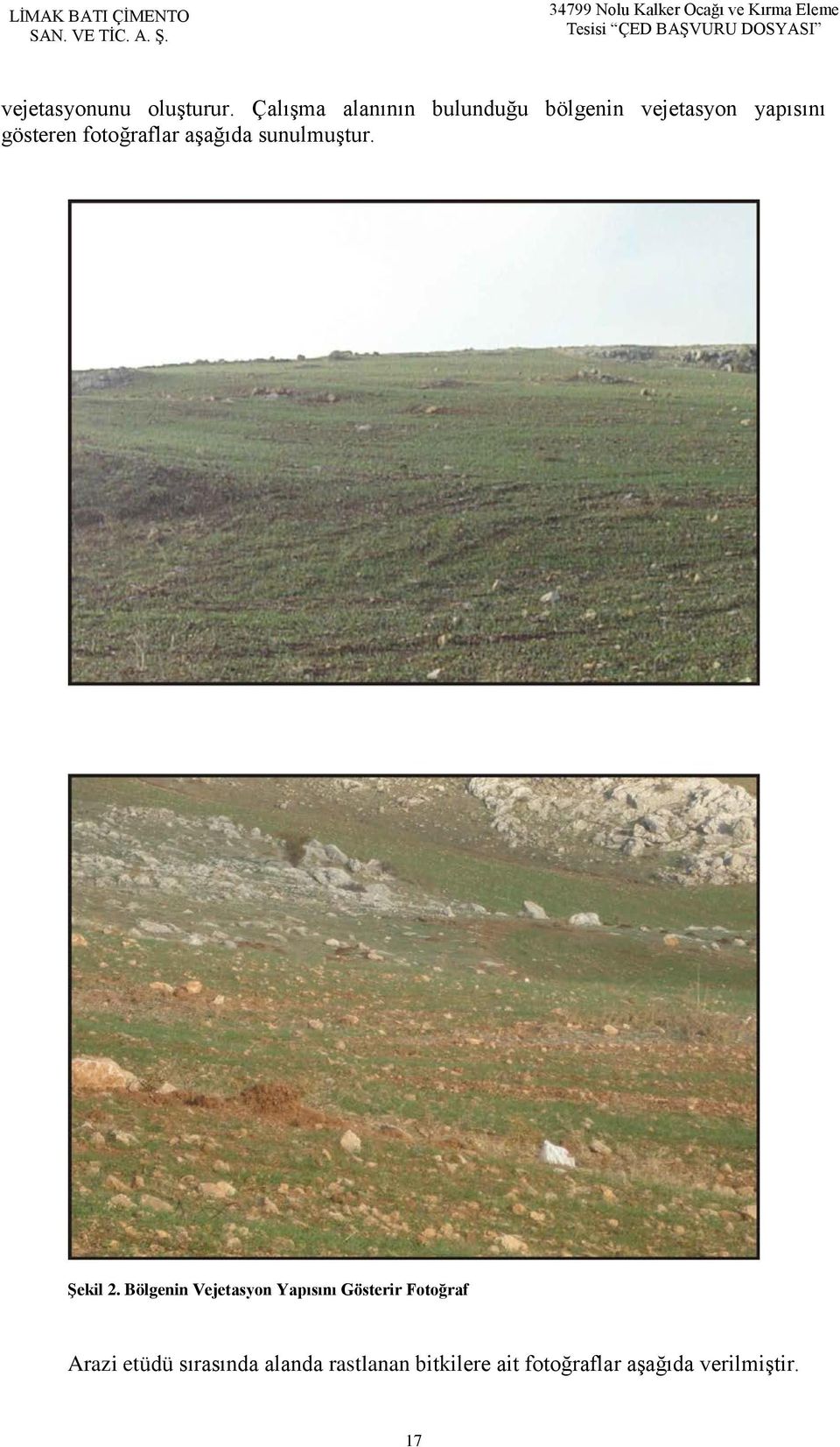 Çalışma alanının bulunduğu bölgenin vejetasyon yapısını gösteren fotoğraflar