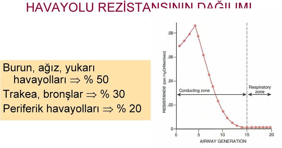 havayolları % 50 Trakea,