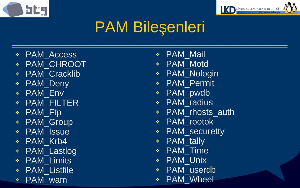 PAM_Listfile PAM_wam PAM_Mail PAM_Motd PAM_Nologin PAM_Permit PAM_pwdb