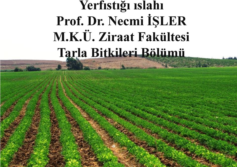 Necmi İŞLER M.K.Ü.