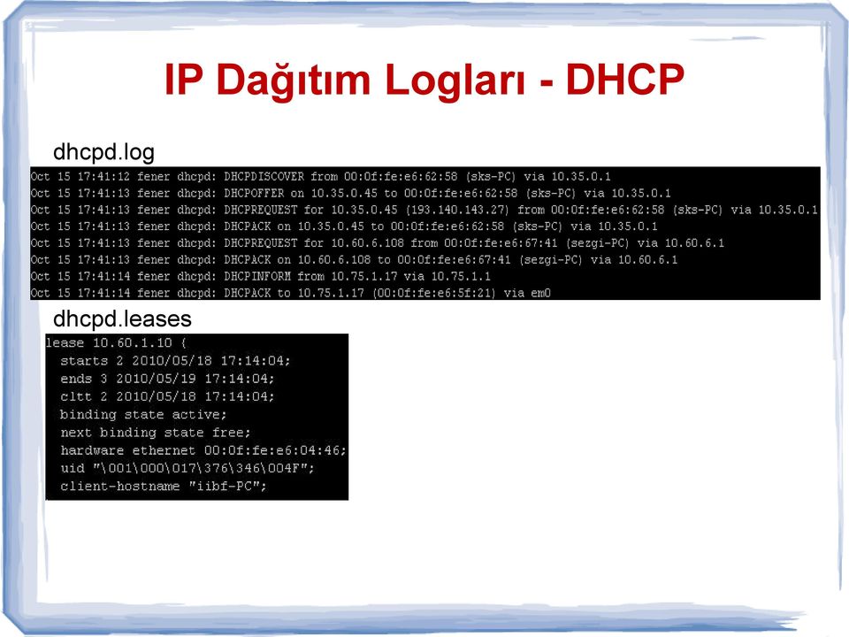 DHCP dhcpd.