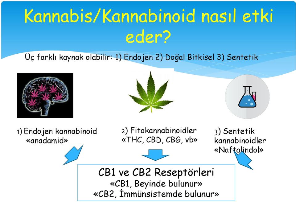 Endojen kannabinoid «anadamid» 2) Fitokannabinoidler «THC, CBD, CBG, vb»
