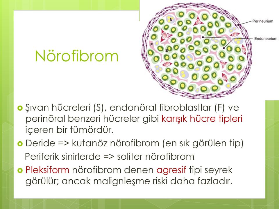 Deride => kutanöz nörofibrom (en sık görülen tip) Periferik sinirlerde => soliter