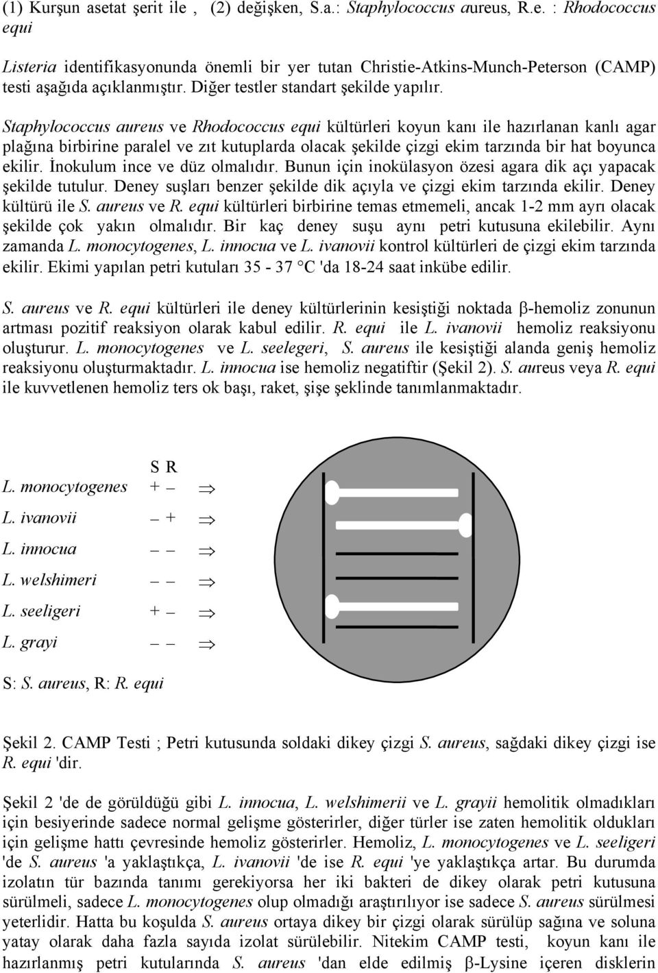 Staphylococcus aureus ve Rhodococcus equi kültürleri koyun kanı ile hazırlanan kanlı agar plağına birbirine paralel ve zıt kutuplarda olacak şekilde çizgi ekim tarzında bir hat boyunca ekilir.