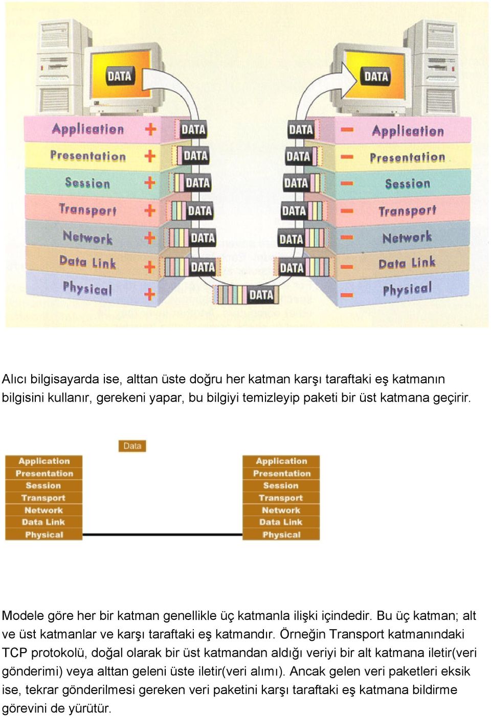 Örneğin Transport katmanındaki TCP protokolü, doğal olarak bir üst katmandan aldığı veriyi bir alt katmana iletir(veri gönderimi) veya alttan geleni üste