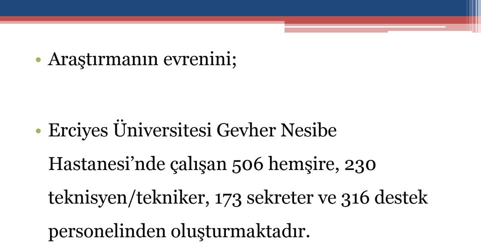 hemşire, 230 teknisyen/tekniker, 173