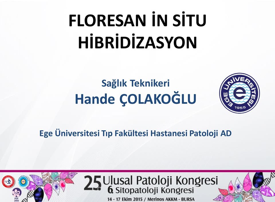 Teknikeri Hande ÇOLAKOĞLU