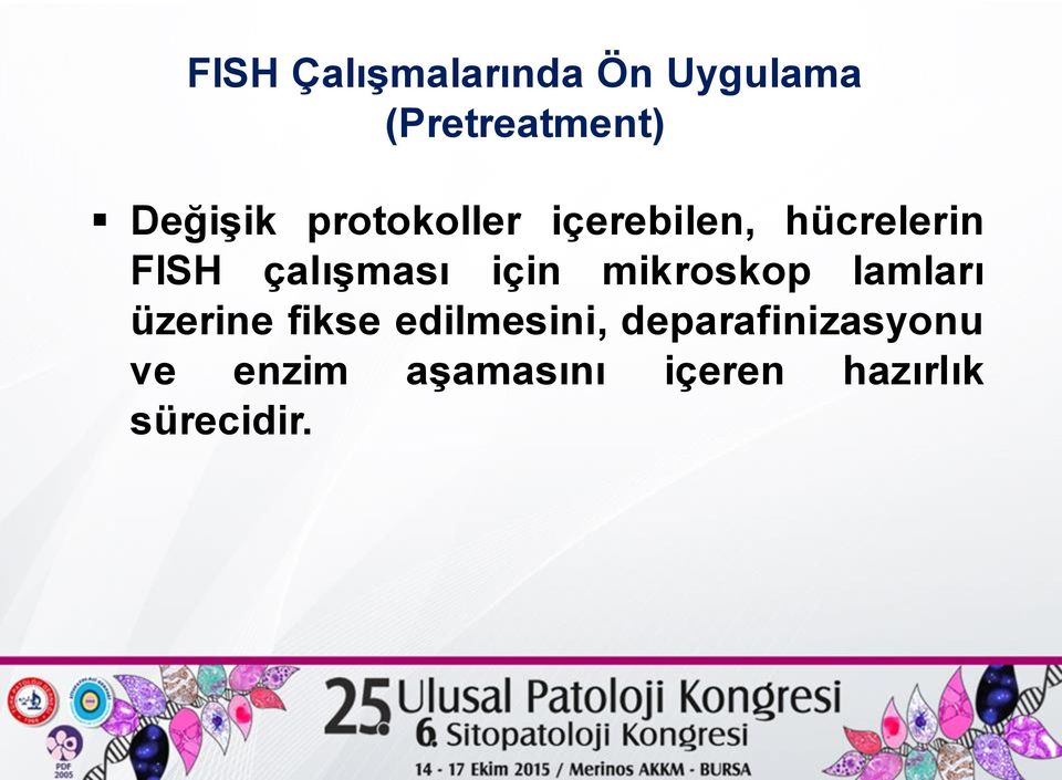 mikroskop lamları üzerine fikse edilmesini,