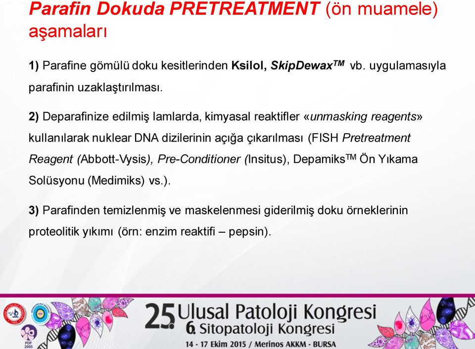 2) Deparafinize edilmiş lamlarda, kimyasal reaktifler «unmasking reagents» kullanılarak nuklear DNA dizilerinin açığa çıkarılması