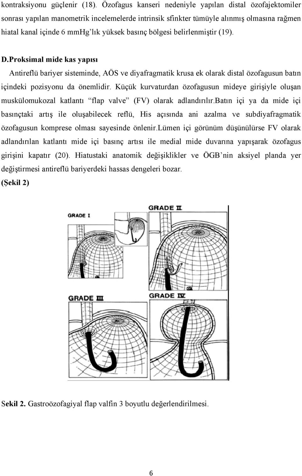 bölgesi belirlenmiştir (19). D.Proksimal mide kas yapısı Antireflü bariyer sisteminde, AÖS ve diyafragmatik krusa ek olarak distal özofagusun batın içindeki pozisyonu da önemlidir.