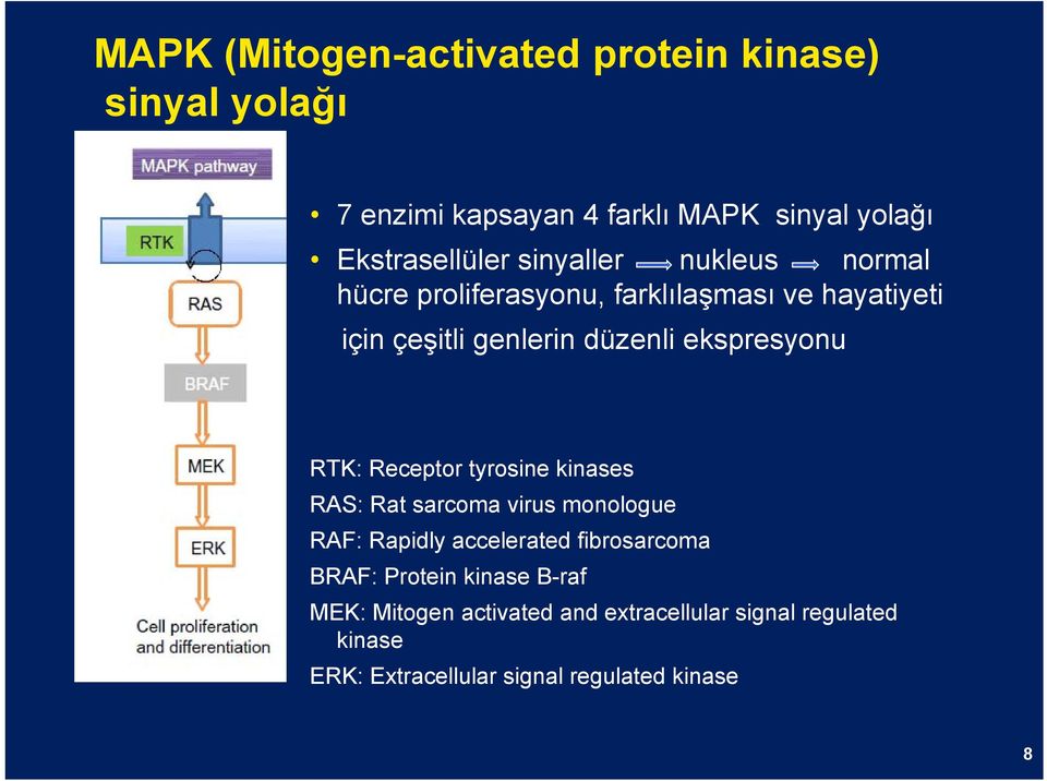 RTK: Receptor tyrosine kinases RAS: Rat sarcoma virus monologue RAF: Rapidly accelerated fibrosarcoma BRAF: Protein