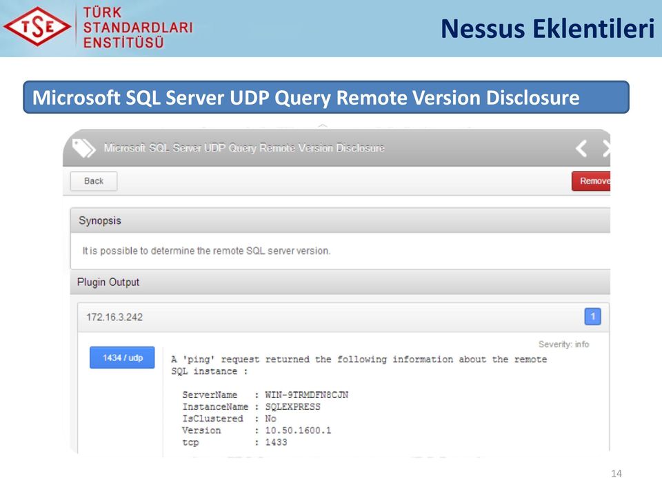 Server UDP Query