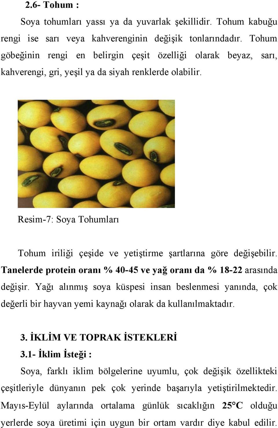 Resim-7: Soya Tohumları Tohum iriliği çeşide ve yetiştirme şartlarına göre değişebilir. Tanelerde protein oranı % 40-45 ve yağ oranı da % 18-22 arasında değişir.