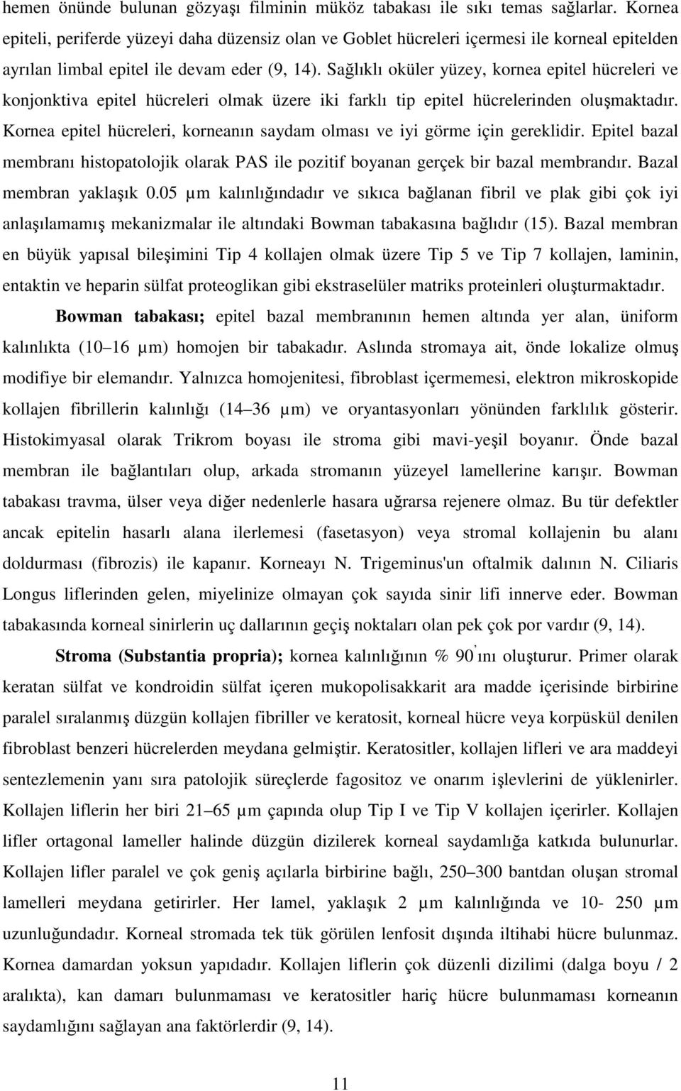 Sağlıklı oküler yüzey, kornea epitel hücreleri ve konjonktiva epitel hücreleri olmak üzere iki farklı tip epitel hücrelerinden oluşmaktadır.